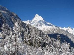 Цирк - увеличить