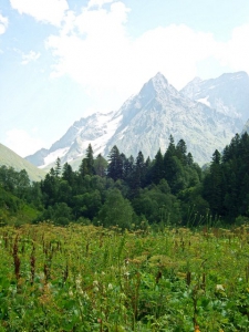 Цирк - увеличить