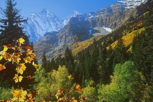 Цирк - увеличить