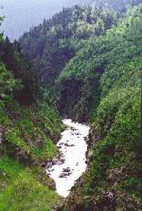 Цирк - увеличить