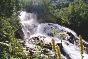 Цирк - увеличить